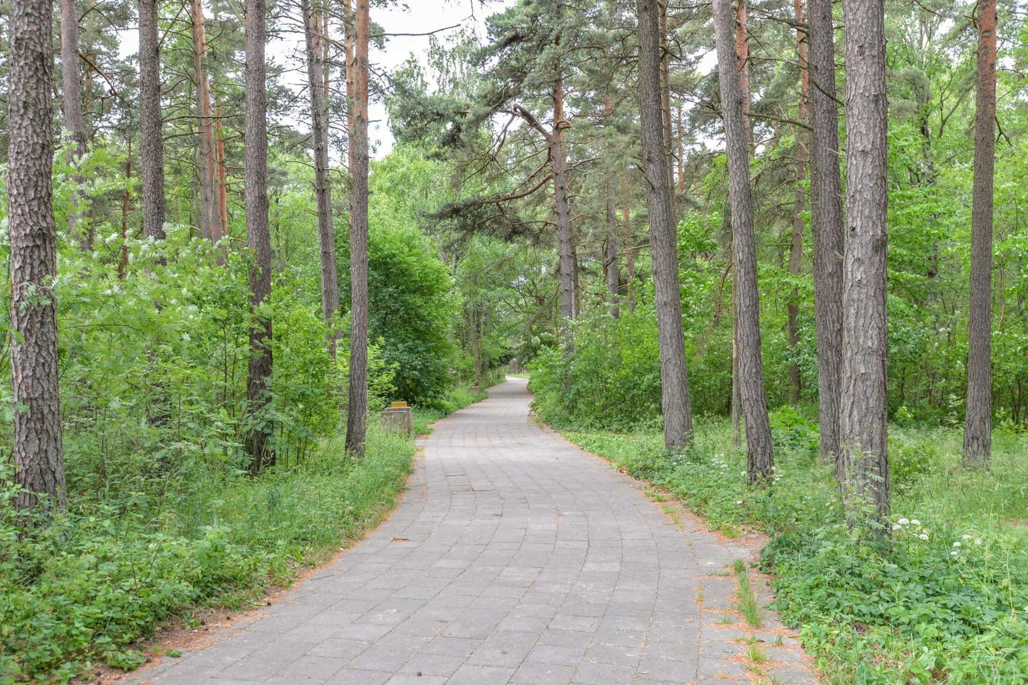 Studija Vanagupes 13 Palanga Extérieur photo